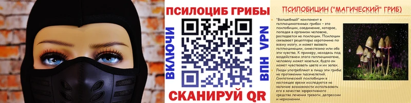 Псилоцибиновые грибы Psilocybe Лянтор