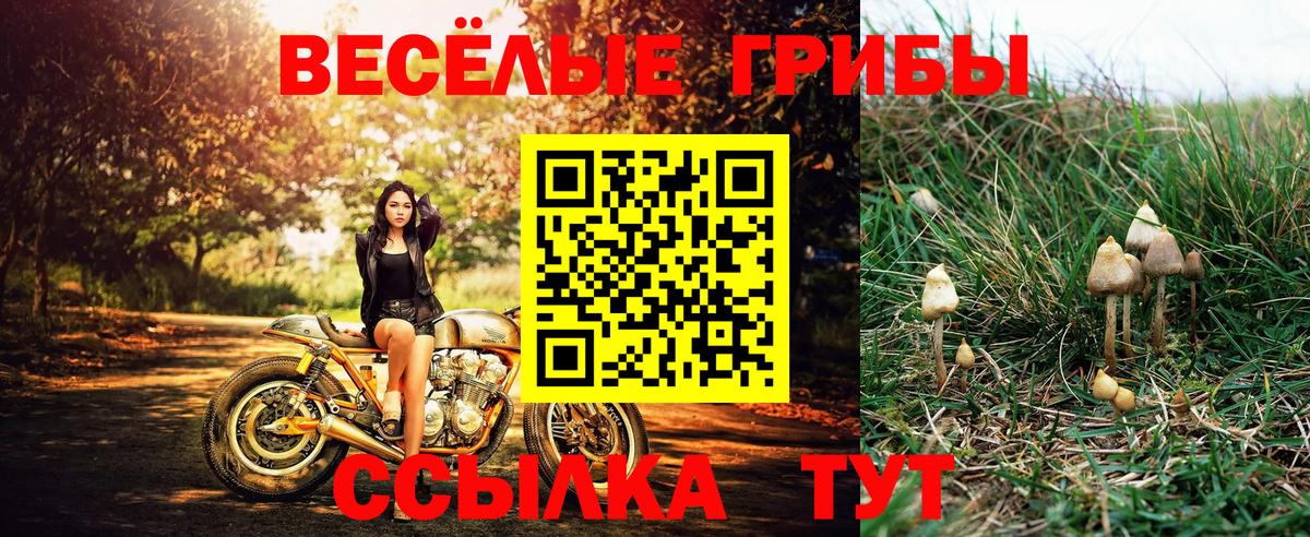 Псилоцибиновые грибы Magic Shrooms  Вход с VPN  Лянтор 
